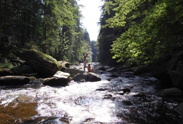 Activiteiten image